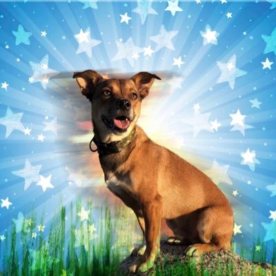 Krysti_in_CO's profile picture. 