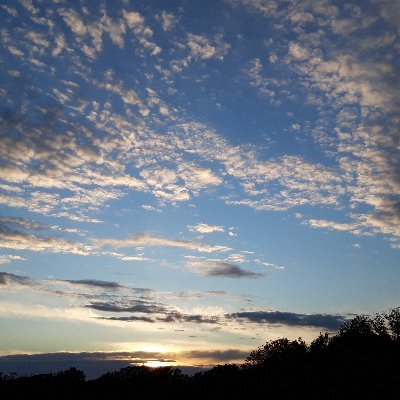 KenBarron8's profile picture. 