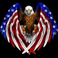 Sarcastic Patriot (@sassypatriot68) Twitter profile photo