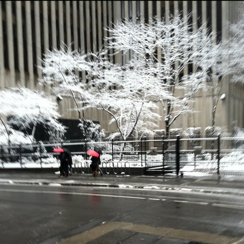 nyctaxlawyer's profile picture. Family. The United States. Israel. Conservative.