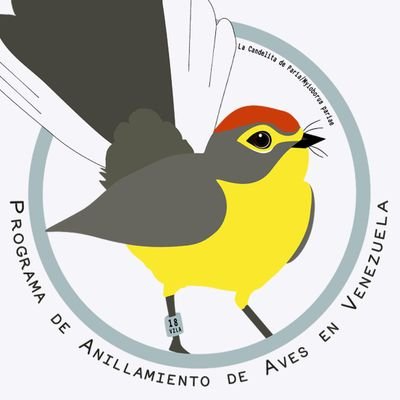 Programa de Anillamiento de Aves en Venezuela