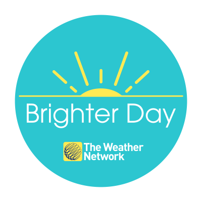 The @weathernetwork's hub for feel-good stories that will brighten your day 🌞 Share your good news with us using #ShareYourBrighterDays!