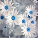 Barb Ellis - @barbjellis - Twitter