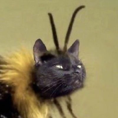 McfgZPFQKh0lyle's profile picture. 