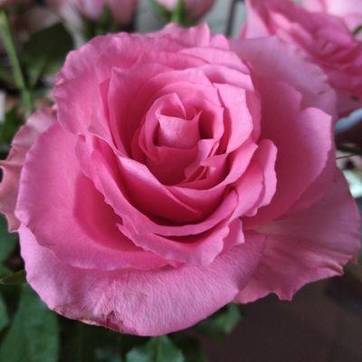 LilDrea27154929's profile picture. I read what smart people post, then retweet it. Sometimes I'll have a semi-intelligent thread on a random subject. Bit of a dreamer.