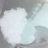 alonso_rost's profile image