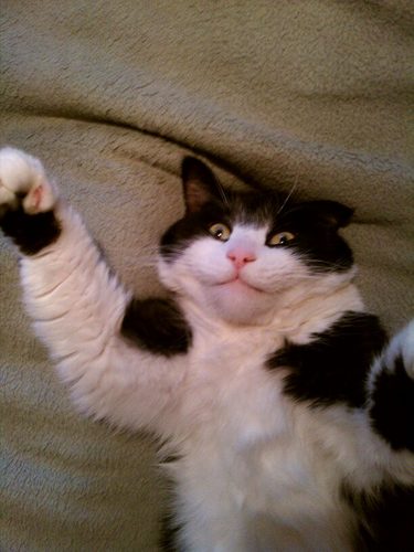 thepctech's profile picture. Computer Geek, First computer a Timex Sinclair in 1980.