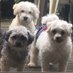 Cathy Cascione (@cathcasc) Twitter profile photo Cathy Cascione (@cathcasc) Twitter profile photo