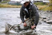 SalmonJunkies's profile picture. Co-founder https://t.co/KMvzJDipeE. Camp Manager Umba, Ponoi and Varzuga! This is my (Kåre Lundquist) personal Twitter profile for networking.