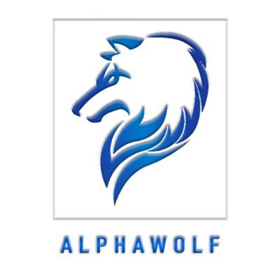 twitch streamer , go check out my channel alphaw0lf_game - instagram