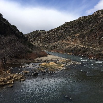 AnitalovesWI's profile picture. I have a lot of favorites: My family, dogs, books, tacos, wine, beer, nature, common sense, board games, licorice, concerts, and Milwaukee.