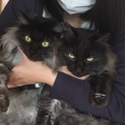 萌葱さんのプロフィール画像