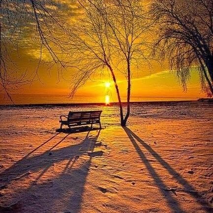 sedaro2006's profile picture. 