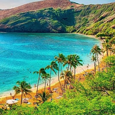 HeddadAl's profile picture. الجنوب