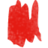 sirocarraro's profile image