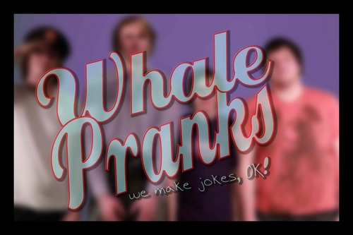 WhalePranks's profile picture. Whale Pranks is here to brighten your day. Humor, Hilarity, Film, Podcast, The Internet, Life, Crime & Shuffle Board Champions '99.