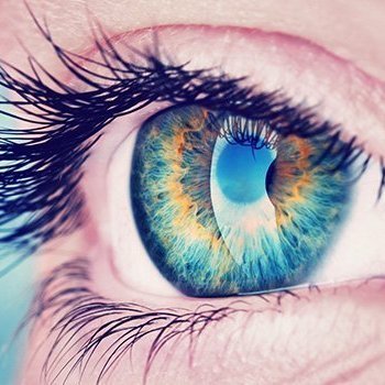 Miradaobjetiva1's profile picture. 