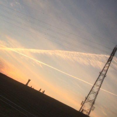 ptogate's profile picture. プログラミングに興味を持ち始めてみました！ 右も左も分からず、バイトしながら日々勉強中です。 しっかり知識をつけたら起業に繋げます✨ 情報の発信•共有ができるように続けていきます👍 #駆け出しエンジニアと繋がりたい #30days トライアル #未来