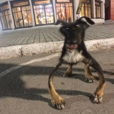 patrick19231576's profile picture. 