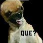 RobinhoMilGrau9's profile picture. 