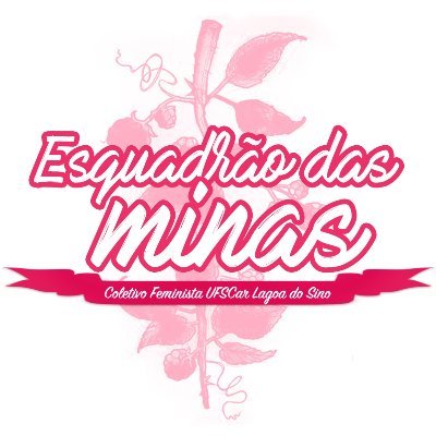 Esquadrão das minas -LS