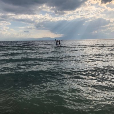 sakamot44413159's profile picture. 