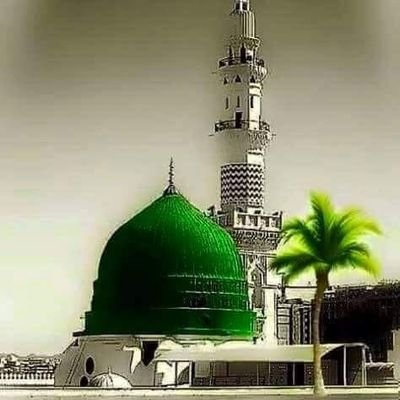 طالبة علم وباحثة علمية/
أعمل لدى معهد الحوراء للتأهيل والبناء 💜