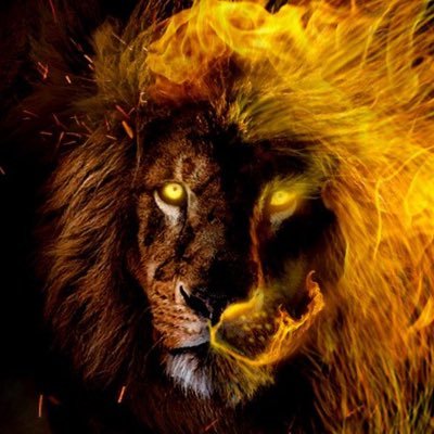 AJG29885569's profile picture. 