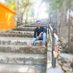 बेरोजगार Neelesh uikey (@neelesh21454487) Twitter profile photo बेरोजगार Neelesh uikey (@neelesh21454487) Twitter profile photo