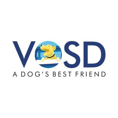 VOSD1 Profile Picture