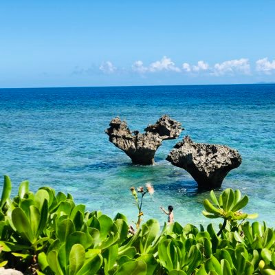 okihare_1's profile picture. 50代の内にやっておきたかった片付けと捨て活を開始‼︎😊楽しくなり整理収納アドバイザー取得！観葉植物も🌿🌿🌿かわいい雑貨も好き│元介護士│ 終活│健康│に興味あり！  DMでのやり取りご遠慮ねがいます🌱🌱🌱