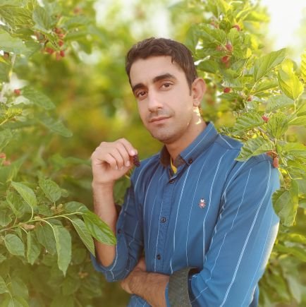 Mohammad455545's profile picture. 