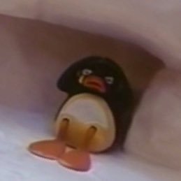 slingtuff's profile picture. I’m 26 and I care so so much