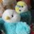 birdslove3250