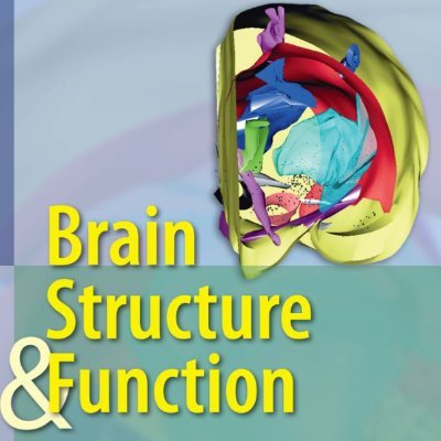 Brain Structure & Function publishes research that provides insight into brain structure−function relationships. 
Media Editor: @MichelTdS