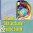 BrainStrucFunc's profile image