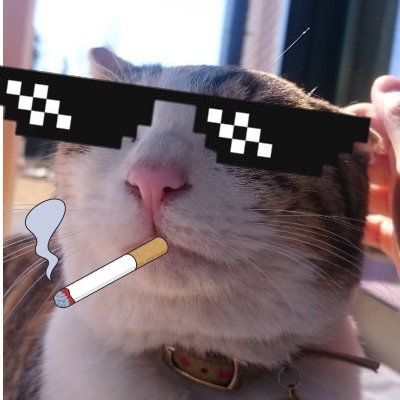 まきねこ（垢使用不可になりました。）さんのプロフィール画像