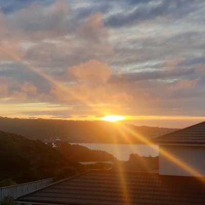 desiree_tehiko's profile picture. 