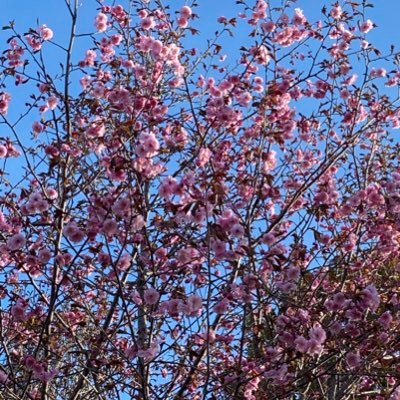 Gathinannyade's profile picture. 成人済雑多 かわいいぽょを見かけたらお母さんに見せるアカウント