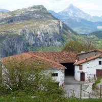 Gomiztegi Koop (@gomiztegi) 's Twitter Profile