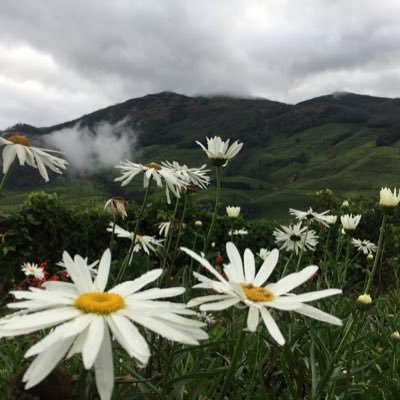 saumil1985's profile picture. 