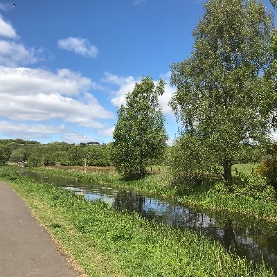 gin_claire's profile picture. 