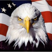 Make America UNITED Again(@UniteUSAgain) 's Twitter Profile Photo