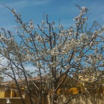 cathy_lecomte's profile picture. 