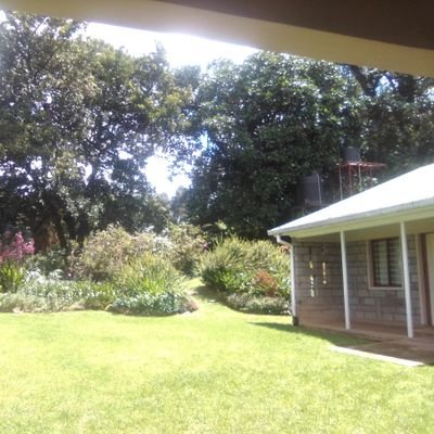 NanzalaV's profile picture. 👌a student.✍️