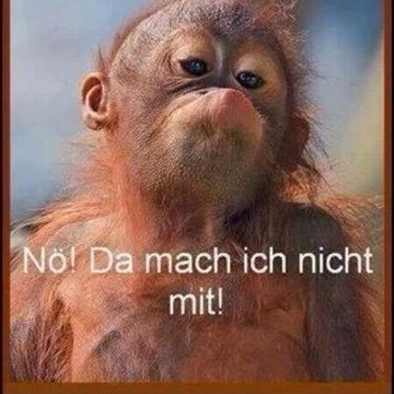 Profile Picture of Rösler Robert (@robert_rosler) on Twitter