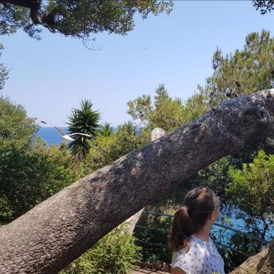 Anna_Forgeronne's profile picture. Privat-Account zur Erinnerungskultur und Demokratiebildung | Theologie | Geschichte | Deutsch | Lehrerbildung | Unterricht | Saarland & RLP