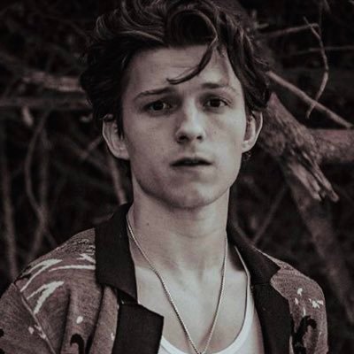 blessing your timeline with daily high quality content of tom holland *:・゚✧