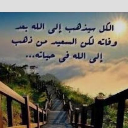 كم نحن نتصفح الحسابات وقد نخرج بلا فائده سوى مضيعة الوقت.. هذا الحساب يمنحك الكثير من الفوائد العلمية والدينية والجوائز المستمرة والقيمة ..