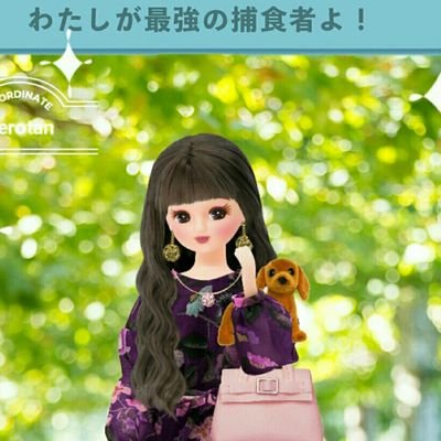 sailor_keromi's profile picture. MADKID ❤︎  ⋈♡* YOU-TAくん *♡⋈🧸🎀